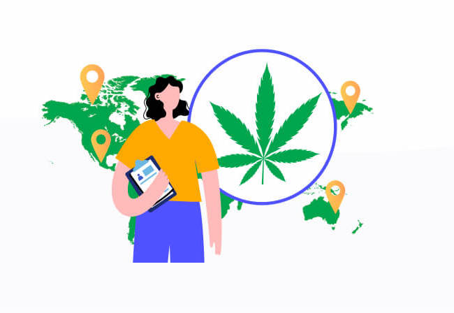 Cannabis trends 